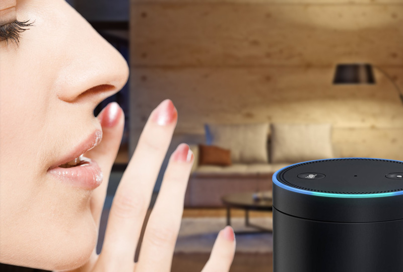 Vera + Amazon Alexa