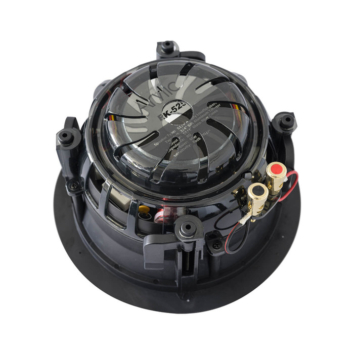 Arylic RK525 - 3